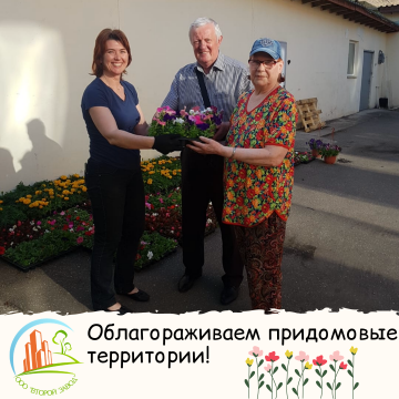 Облагораживаем придомовые территории