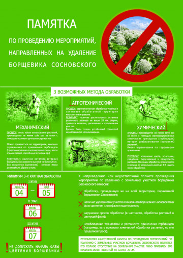 ВНИМАНИЕ: борщевик!!!