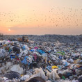 «Известия»: В России предложили снизить плату ЖКУ за вывоз мусора